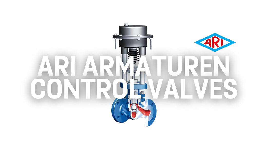 ARI Armaturen Control Valves