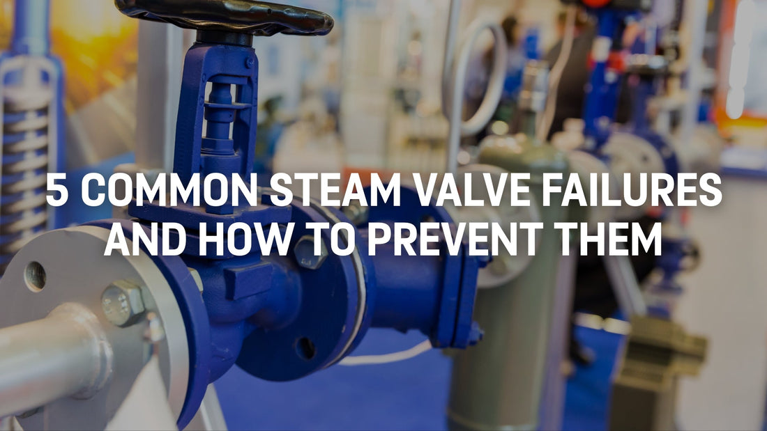5 Common Steam Valve Failures and How to Prevent Them