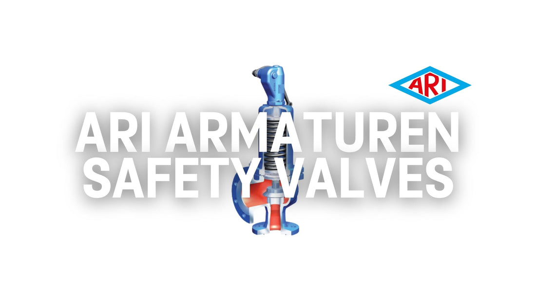 ARI Armaturen Safety Valves