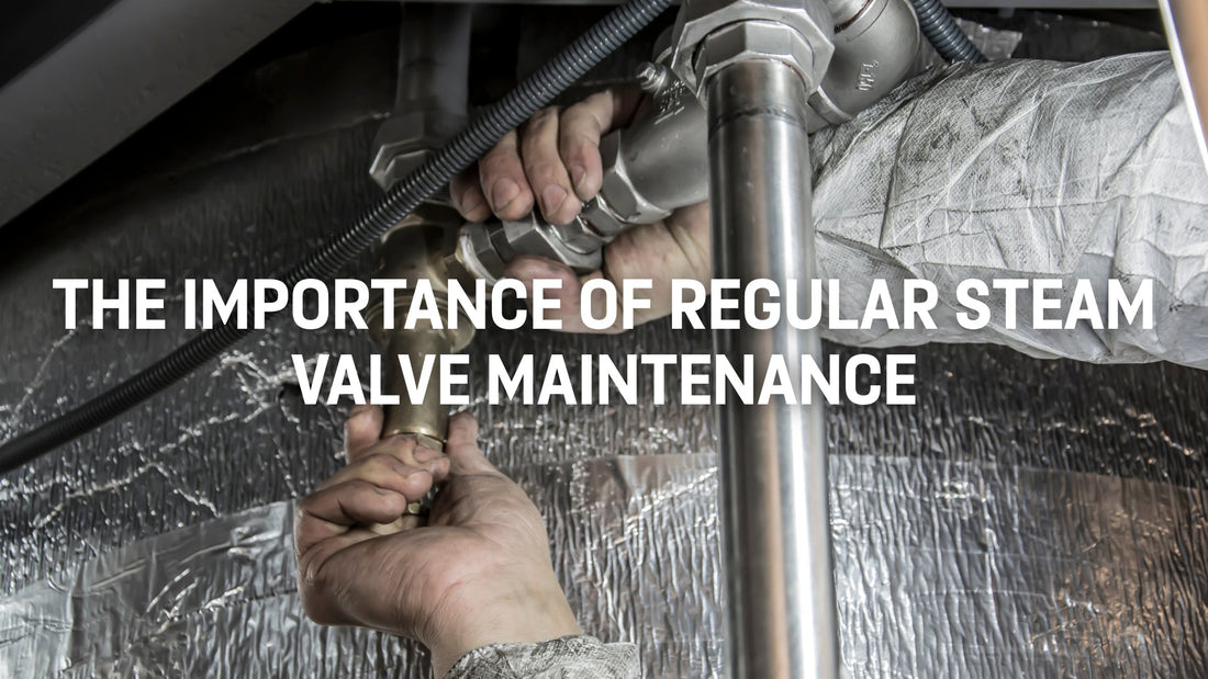 The Importance of Regular Steam Valve Maintenance